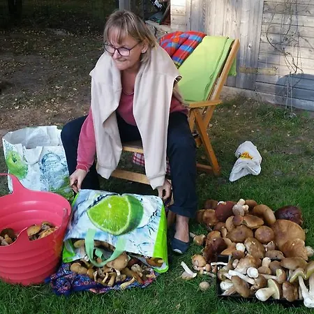Lesniczowka W Zagrodzie Ostoja Sporysz